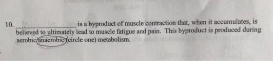 10. is a byproduct of muscle contraction that, when it accumulates, is believed to ultimately lead to muscle fatigue and pain. This byproduct is produced during acrobicdnaerobie cirele one) metabolisrm
