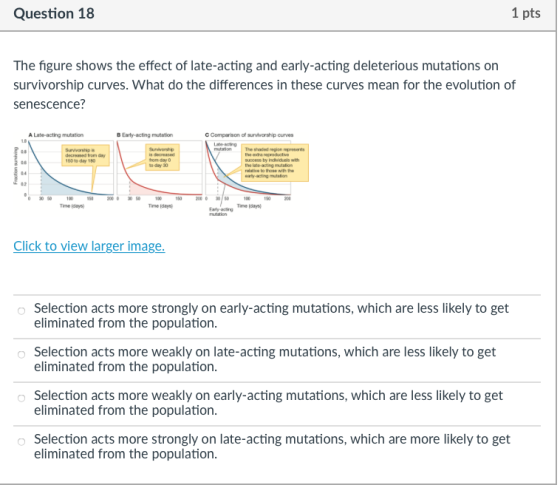 Question 18 1 pts The figure shows the effect of late-acting and early-acting deleterious mutations on survivorship curves. What do the differences in these curves mean for the evolution of senescence? A Late-acting mutation B Early-acting mutation C Comparison of survworship curves is decreased decreased from day 160 10 day 180 by Indviduels with 07 Time days Time days Click to view larger image. Selection acts more strongly on early-acting mutations, which are less likely to get eliminated from the population Selection acts more weakly on late-acting mutations, which are less likely to get eliminated from the population Selection acts more weakly on early-acting mutations, which are less likely to get eliminated from the population Selection acts more strongly on late-acting mutations, which are more likely to get eliminated from the population