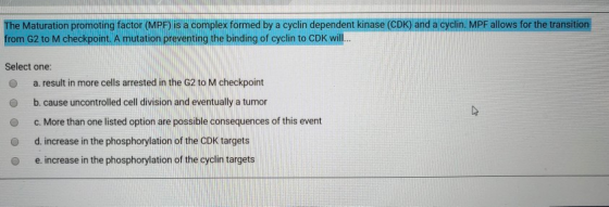 The Maturation promoting factor (MPF) is a complex formed by a cyclin dependent kinase (CDK) and a cyclin. MPF allows for the