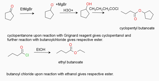 0 +MgBr OH CH3CH2CH2COCI EtMgBr H30+ cyclopentyl butanoate cyclopentanone upon reaction with Grignard reagent gives cyclopent