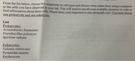 From the list below, choose two organisms or cell types and discuss what makes them unique compared to the cells you have obs