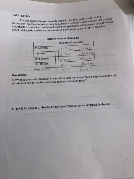Part 3: Stretch For this experiment you are only recording the changes in heightfor the contraction, not the changes in frequ