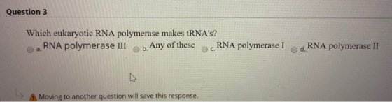 Question 3 Which eukaryotic RNA polymerase makes tRNAs? a RNA polymerase IIIb. Any of these RNA polymerase I od RNA polymera