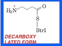 0 HN Btrl DECARBOXY