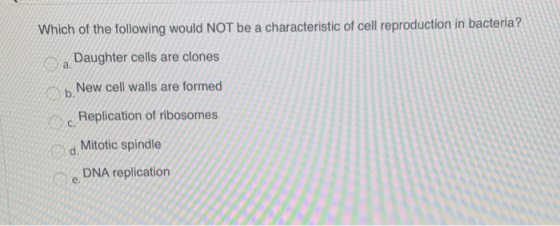 Which of the following would NOT be a characteristic of cell reproduction in bacteria? Daughter cells are clones h New cell w