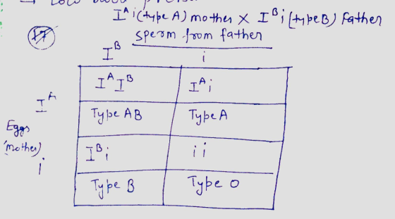 SP1าท ,fwm fathen 3 ATB Tybe AB Tybe A Ear moha Type o Tpe