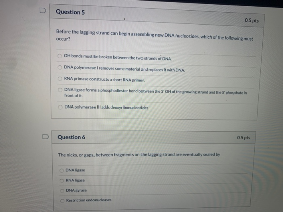 Question 5 0.5 pts Before the lagging strand can begin assembling new DNA nucleotides, which of the following must occur? OH