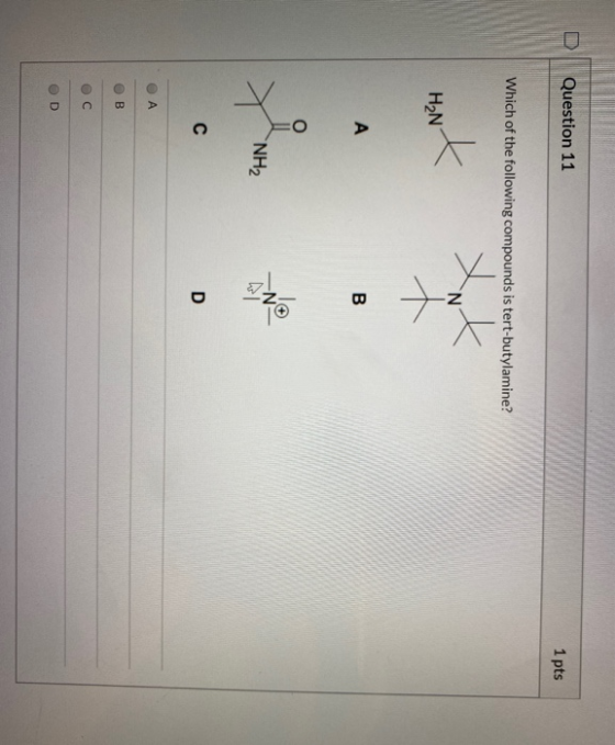 Question 11 1 pts Which of the following compounds is tert-butylamine? K. tot H2N А B NH2 С D А B C D