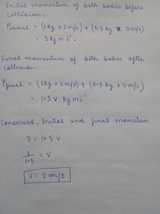 bodius bepou and ynal momilum 3 1.5 v 1.5