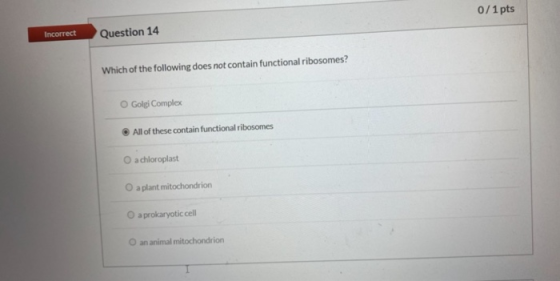 0/1 pts Incorrect Question 14 Which of the following does not contain functional ribosomes? O Golgi Complex All of these cont