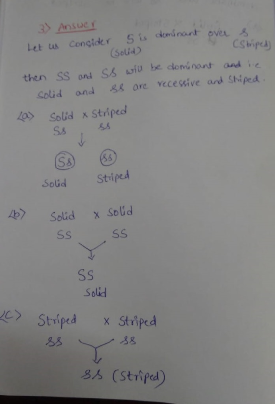 An sue let us consider. S ts dominant, ovaろ Solu CSbiped) then SS oni Ss u be clominant andic Solid and & are vecessive and Sthiped Solid x Striped Solid Striped 4) Solid x Sold sS Solid Stripca x Striped 38 8s (Striped)