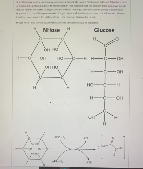 Scientists have synthesized a new 6 carbon carbohydrate named Neohexose (NHose). All polar groups are tucked inside the middl