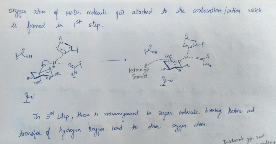 gets attached to the carbocation / cation which oxygen atom is formed of water in 1st molecule step. --- NH HO OH Ketone op f