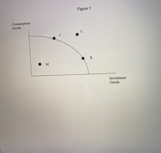 Figure 1 Consumption Goods L K • M Investment Goods