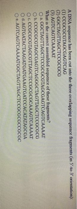 A DNA sequence has been cut into the three overlapping sequence fragments (in 5-to-3 orientation) (1) CCGCGCGTAGCGAGTCAG (2