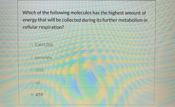 Which of the following molecules has the highest amount of energy that will be collected during its further metabolism in cel