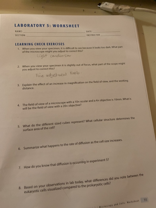 LABORATORY 5: WORKSHEET NAME: SECTION: DATE INSTRUCTOR LEARNING CHECK EXERCISES 1. When you view your specimen, it is difficu