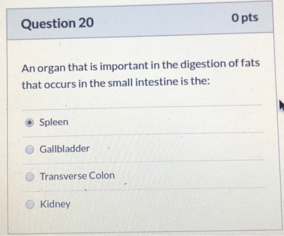 Question 20 O pts An organ that is important in the digestion of fats that occurs in the small intestine is the: Spleen O Gal