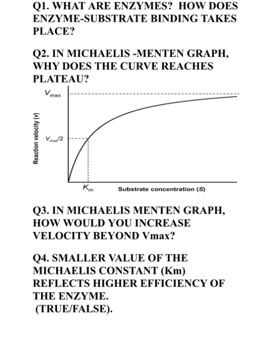 Q1. WHAT ARE ENZYMES? HOW DOES ENZYME-SUBSTRATE BINDING TAKES PLACE? Q2. IN MICHAELIS -MENTEN GRAPH, WHY DOES THE CURVE REACH