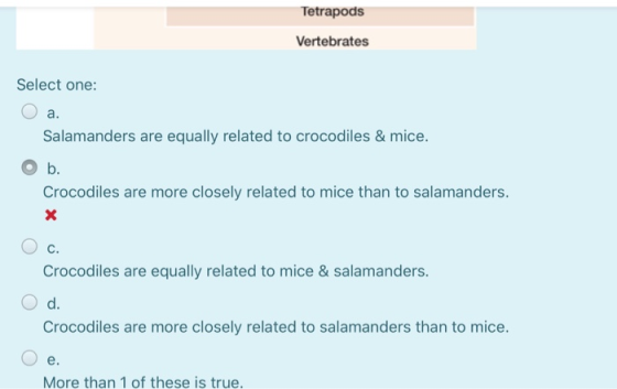 Tetrapods Vertebrates Select one: a. Salamanders are equally related to crocodiles & mice. b. Crocodiles are more closely rel