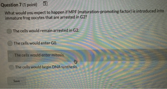 Question 7 (1 point) rd What would you expect to happen if MPF (maturation-promoting factor) is introduced into immature frog oocytes that are arrested in G2? The cells would remain arrested in G2. The cells would enter GO. The cells would enter mitosis. The cells would begin DNA synthesis Save