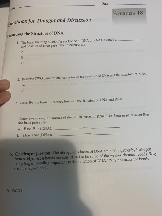 Date: EXERCISE 18 uestions for Thought and Discussion Regarding the Structure of DNA: 1. The basic building block of a nuclei