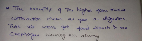 & The benefits of The higher fore muscle contraction mear as far as digestion. That we woonk gek food struck us ou Esophagus