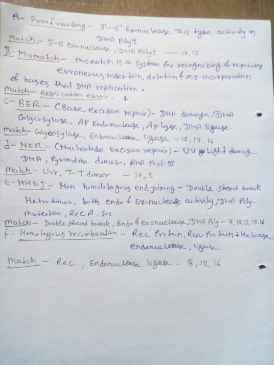 3- Mismatchis match ts eu Systen for recegnizing 4 repcivng eous insey teh, deletien 4 mis-incorpoyctien metch-Repli ceution