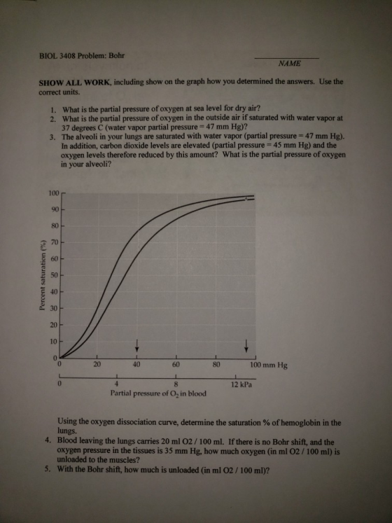 BIOL 3408 Problem: Bohr NAME SHOW ALL WORK, including show on the graph how you determined the answers. Use the correct units. What is the partial pressure of oxygen at sea level for dry air? What is the partial pressure of oxygen in the outside air if saturated with water vapor at 37 degrees C (water vapor partial pressure The alveoli in your lungs are saturated with water vapor (partial pressure In addition, carbon dioxide levels are elevated (partial pressure 45 mm Hg) and the oxygen levels therefore reduced by this amount? What is the partial pressure of oxygen in your alveoli? 1. 2. 47 mm Hg)? 3. 47 mm Hg). 100 r 90 80 e 70 60 E 50F 4아 20 10 0 20 40 80 100 mm Hg 12 kPa Partial pressure of O2 in blood Using the oxygen dissociation curve, determine the saturation % of hemoglobin in the lungs Blood leaving the lungs carries 20 ml 02/100 ml. If there is no Bohr shift, and the oxygen pressure in the tissues is 35 mm Hg, how much oxygen (in ml 02/100 ml) is unloaded to the muscles? With the Bohr shift, how much is unloaded (in ml 02/100 ml)? 4. 5.