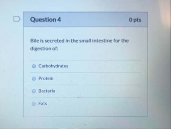 Question 4 O pts Bile is secreted in the small intestine for the digestion of: Carbohydrates Protein O Bacteria O Fats