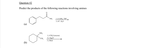 Question #2 Predict the products of the following reactions involving amines NH 1.) LiAIH, THF 2.) H, H2O NH CH 1.) CHI (exce