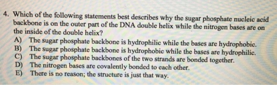 4. Which of the following statements best describes why the sugar phosphate nucleic acid backbone is on the outer part of the DNA double helix while the nitrogen bases are on the inside of the double helix? A) The sugar phosphate backbone is hydrophilic while the bases are hydrophobic. B) The sugar phosphate backbone is hydrophobic while the bases are hydrophilic. C) The sugar phosphate backbones of the two strands are bonded together. D) The nitrogen bases are covalently bonded to each other. E) There is no reason; the structure is just that way.