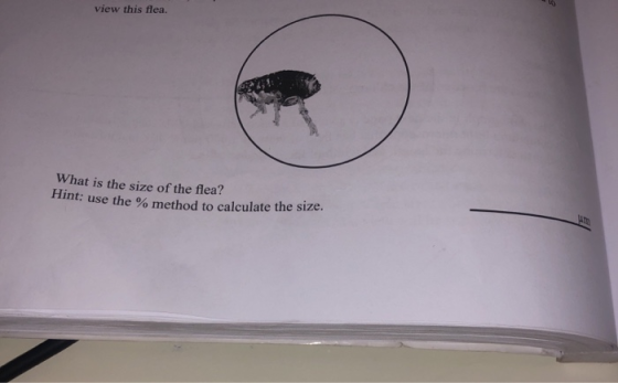 view this flea. What is the size of the flea? nt: use the % method to calculate the size.