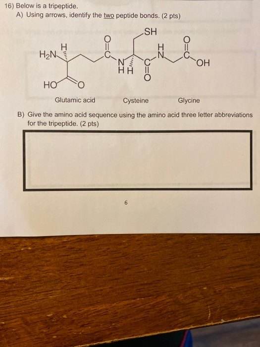 16) Below is a tripeptide. A) Using arrows, identify the two peptide bonds. (2 pts) SH H₂N OH Ноо Glutamic acid Cysteine Glyc