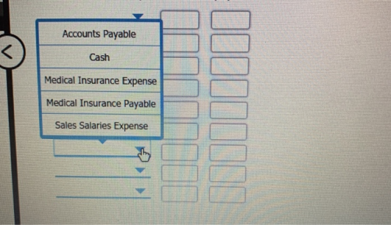 Accounts Payable Cash Medical Insurance Expense Medical Insurance Payable Sales Salaries Expense