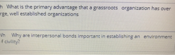 h What is the primary advantage that a grassroots rge, well established organizations organization has over vh Why are interpersonal bonds important in establishing an environment f civility?