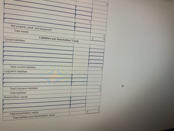 Net property, plant, and equipment Total assets Liabilities and Shareholders Equity Current liabilities: Total current liabi
