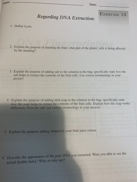 Date: EXERCISE 18 Regarding DNA Extraction: 1. Define Lysis: 2. txpan he rurgoeng the frt w by the mashing? 3. Explain the pu