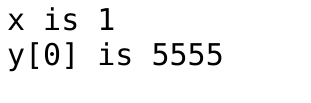 x is 1 y[0] is 5555