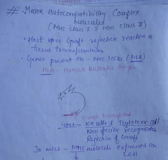 lutchouc # MAJOR Histocompatibility Complex Molecelles (Mic class I & MHC class I) Host upous Graft rejection reachen in tiss
