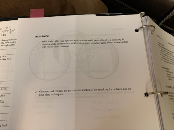 OVEC whole or ULTS Record your ob the information throughout the QUESTIONS 1) What is the difference between a pure culture a