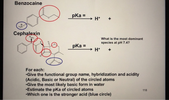 Benzocaine pka = → H+ + Cephalexin NH pka = What is the most dominant species at pH 7.4? H+ + → For each: Give the functional
