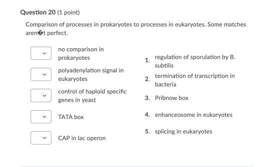 Question 20 (1 point) Comparison of processes in prokaryotes to processes in eukaryotes. Some matches arent perfect. no compa