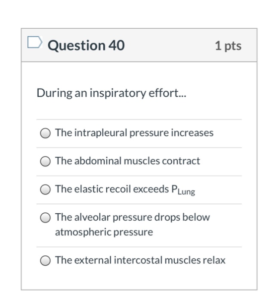 Question 40 1 pts During an inspiratory effort... The intrapleural pressure increases The abdominal muscles contract The elas