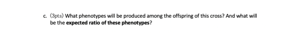 C. (3pts) What phenotypes will be produced among the offspring of this cross? And what will be the expected ratio of these ph