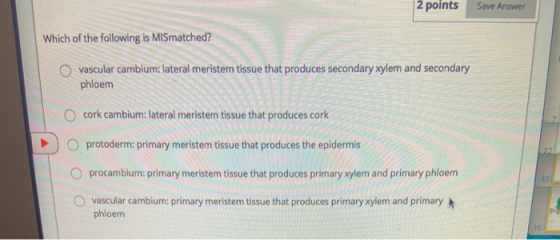 2 points Save Answer Which of the following is MISmatched? vascular cambium: lateral meristem tissue that produces secondary