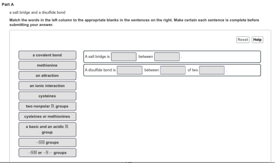 Part A a salt bridge and a disulfide bond Match the words in the left column to the appropriate blanks in the sentences on the right. Make certain each sentence is complete before submitting your answer. Reset Help a covalent bond A salt bridge is between methionine A disulfide bond is between of two an attraction an ionic interaction cysteines two nonpolar R groups cysteines or methionines a basic and an acidic R group -SH groups SH or-S- groups