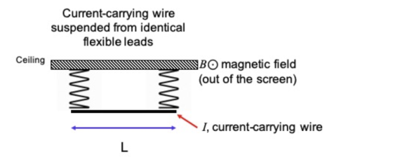 Current-carrying wire suspended from identical flexible leads WBO magnetic field (out of the screen) Ceiling I, current-carry