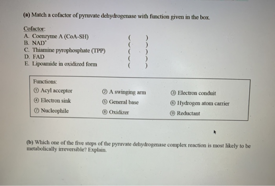 (a) Match a cofactor of pyruvate dehydrogenase with function given in the box. Cofactor A. Coenzyme A (COA-SH) B. NAD C. Thia