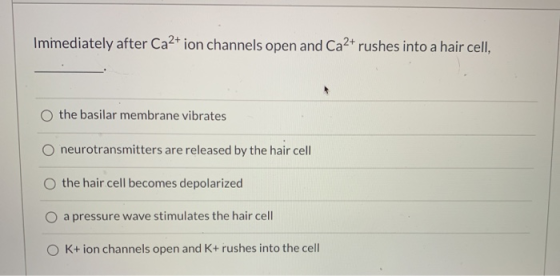 Immediately after Ca2+ ion channels open and Ca2+ rushes into a hair cell, the basilar membrane vibrates neurotransmitters ar